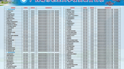 2024年广西城市职业大学收费项目公示
